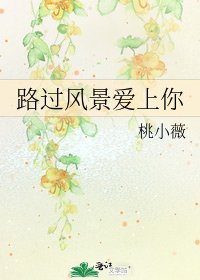 路過風景愛上你